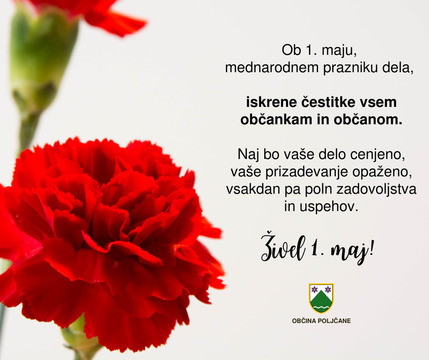 Vzorčna fotografija