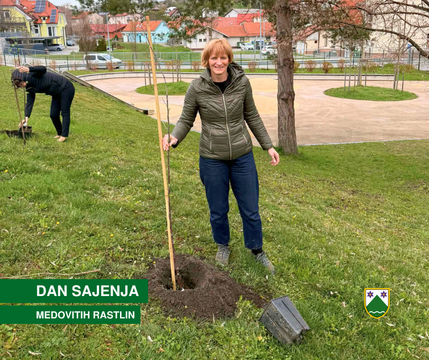 Vzorčna fotografija