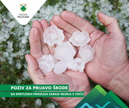 Vzorčna fotografija