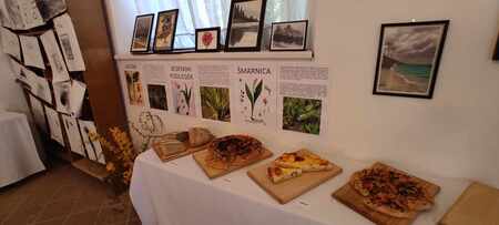 Messenger_creation_273a6c58-1f28-476d-ba91-b1c29cf5ebed