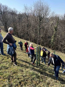 IMG-0910ae1ff76998272b8b9760e70dc7da-V