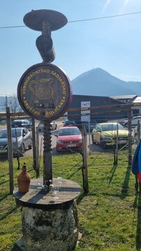 20260301_105526-1152x2048