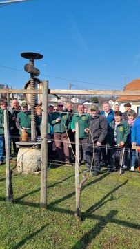 20260301_110131-768x1365