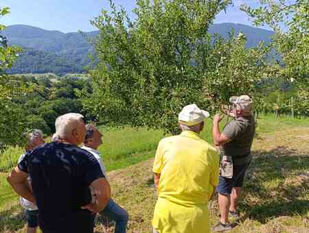 IMG-719c153f11db0da62c586c1f91ff7c11-V